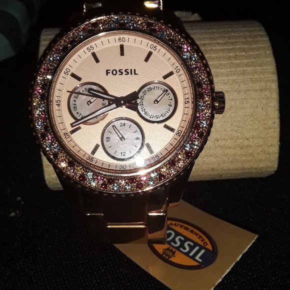 Fossil Watch